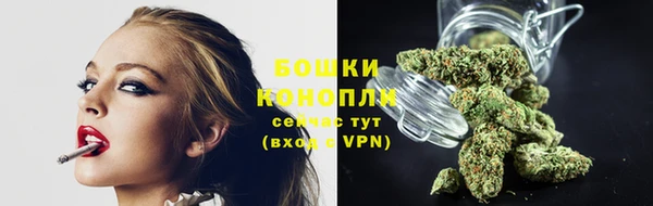 ГАЛЛЮЦИНОГЕННЫЕ ГРИБЫ Володарск