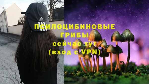 мяу мяу мука Волоколамск