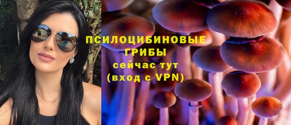 молекула духа Карталы